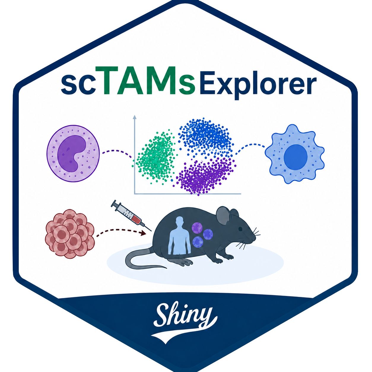 scTAMsExplorer logo